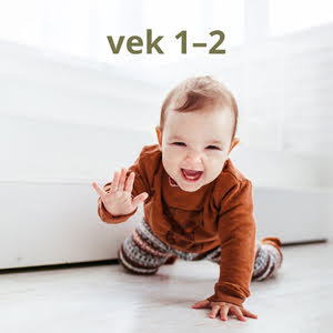 Vek sk - 2